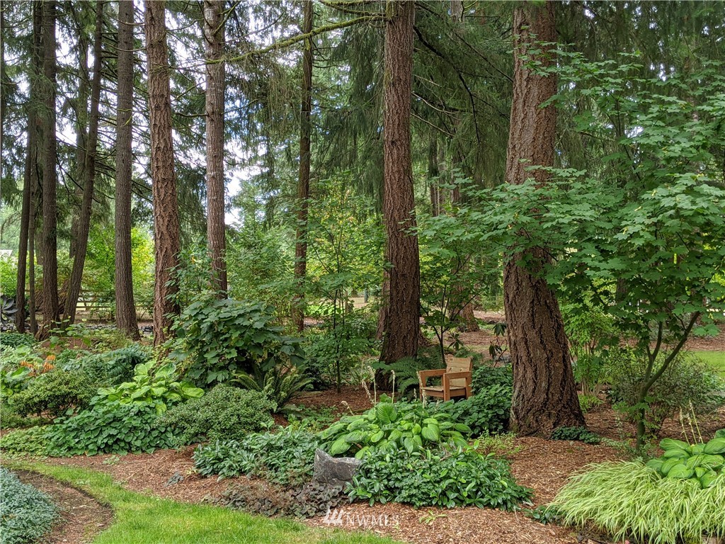 5428 133rd Avenue Southwest Rochester, WA 98579 - Photo 3 of 21 a view of a garden