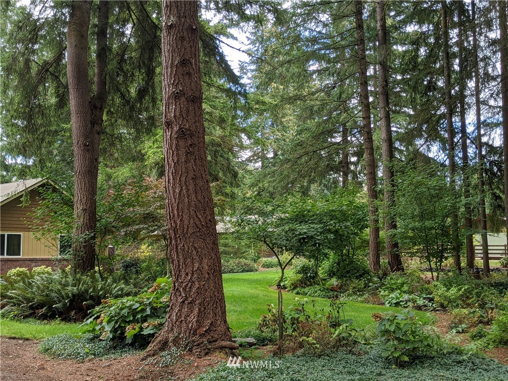 5428 133rd Avenue Southwest Rochester, WA 98579 - Photo 4 of 21 a view of a garden