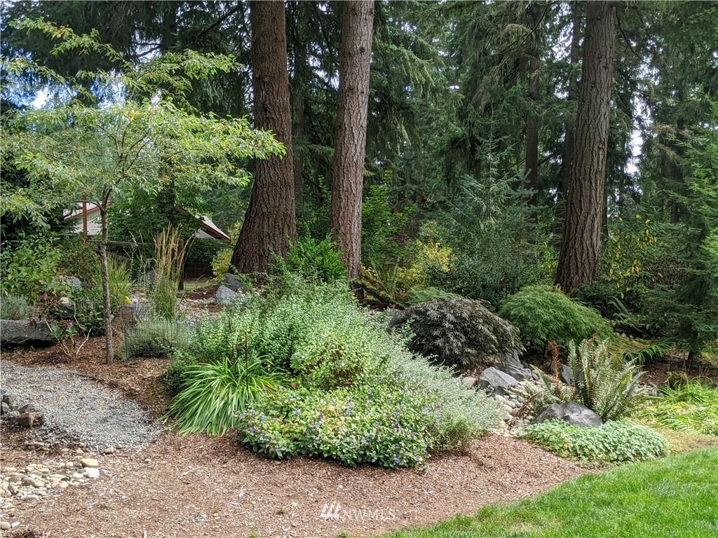 5428 133rd Avenue Southwest Rochester, WA 98579 - Photo 9 of 21 a view of a garden with plants and large trees