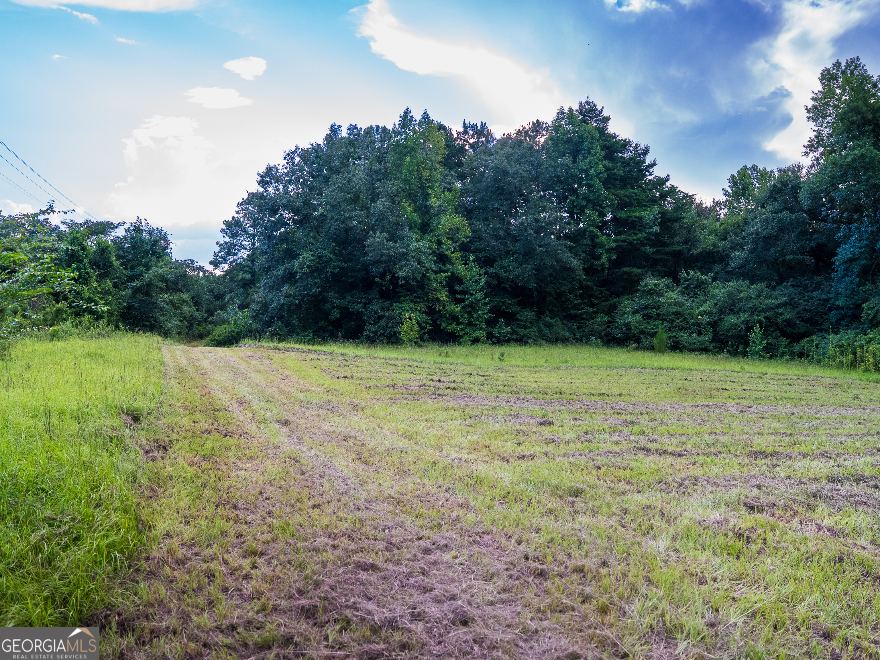 Tbd State Route 26 Road Montezuma, GA 31063 - Photo 47 of 52