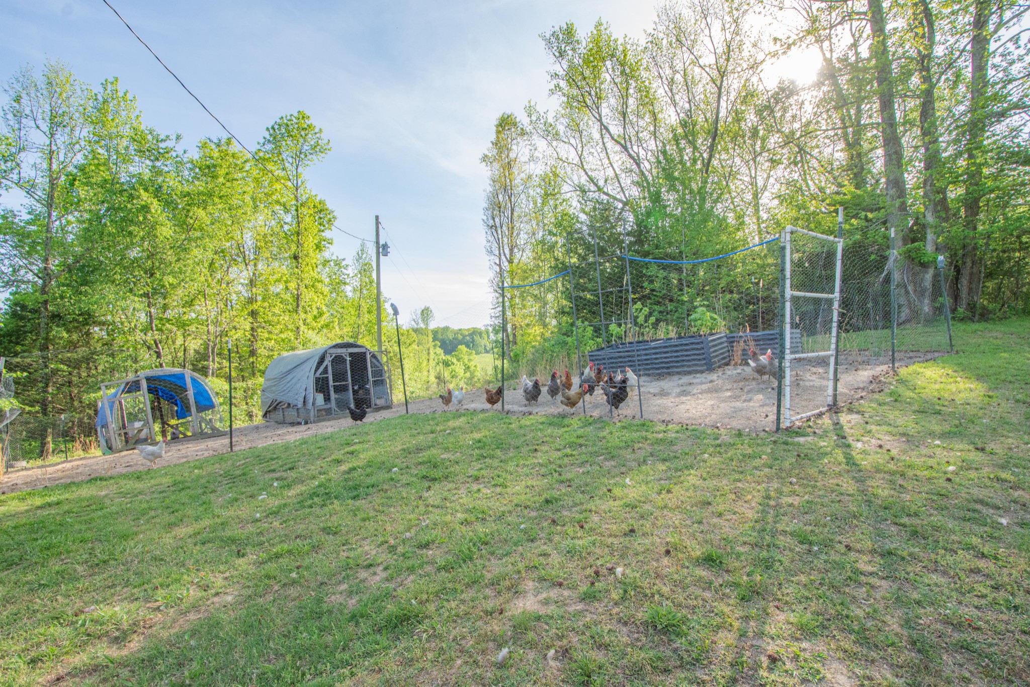 2490 Tackets Branch Road Prospect, TN 38477 - Photo 21 of 42 a garden view