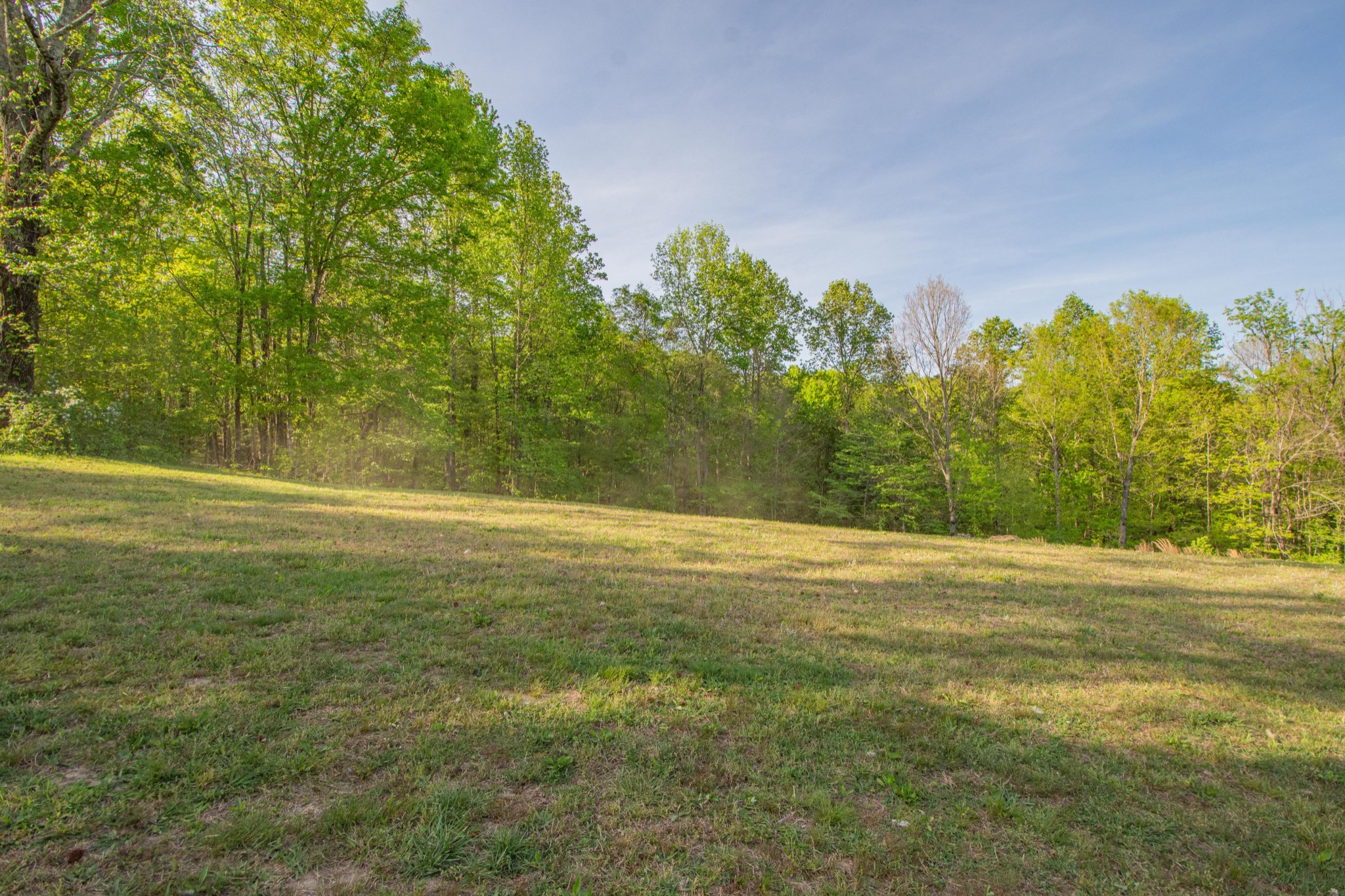 2490 Tackets Branch Road Prospect, TN 38477 - Photo 22 of 42 a view of a field with an trees