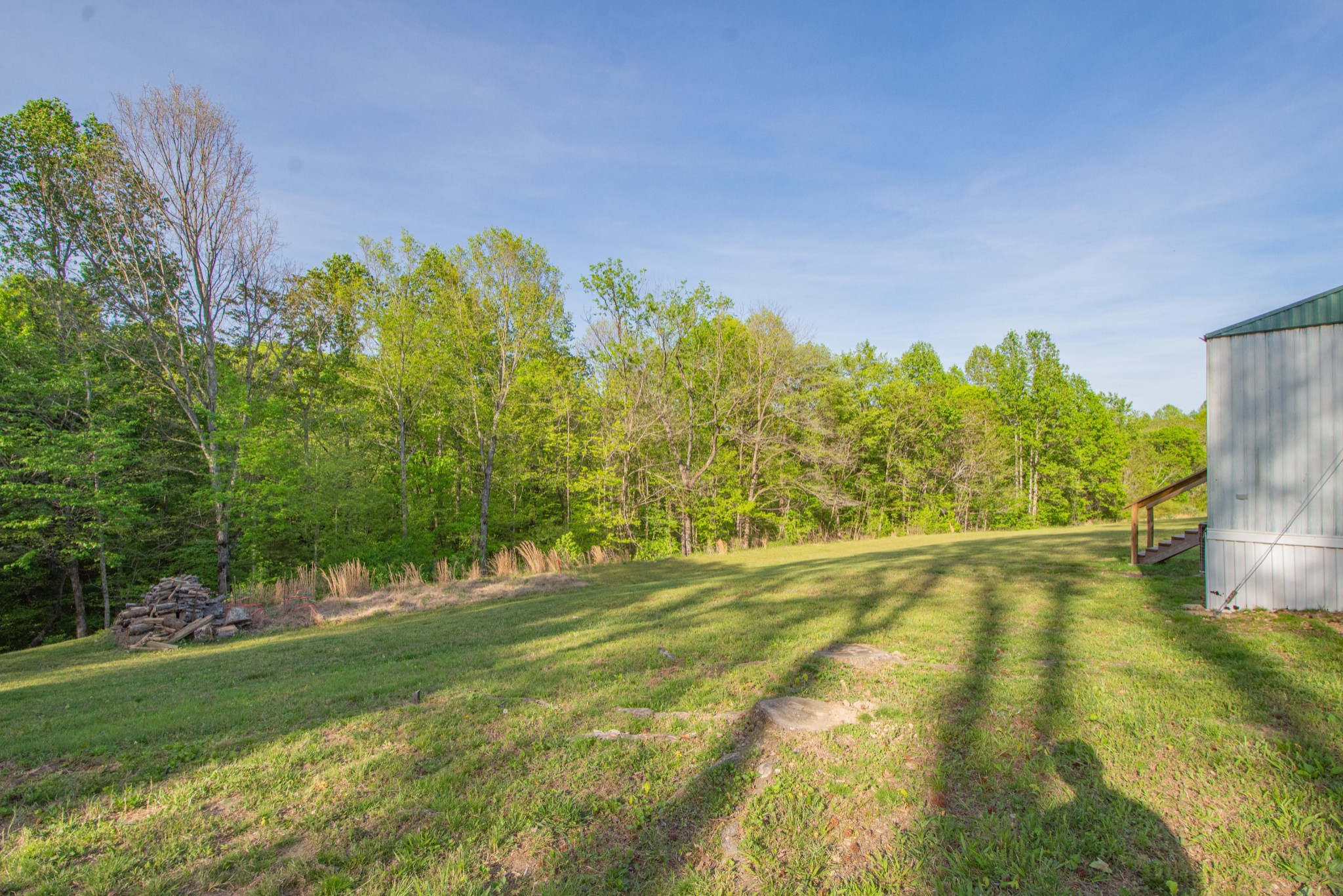 2490 Tackets Branch Road Prospect, TN 38477 - Photo 23 of 42 a view of a big yard with potted plants and large tree