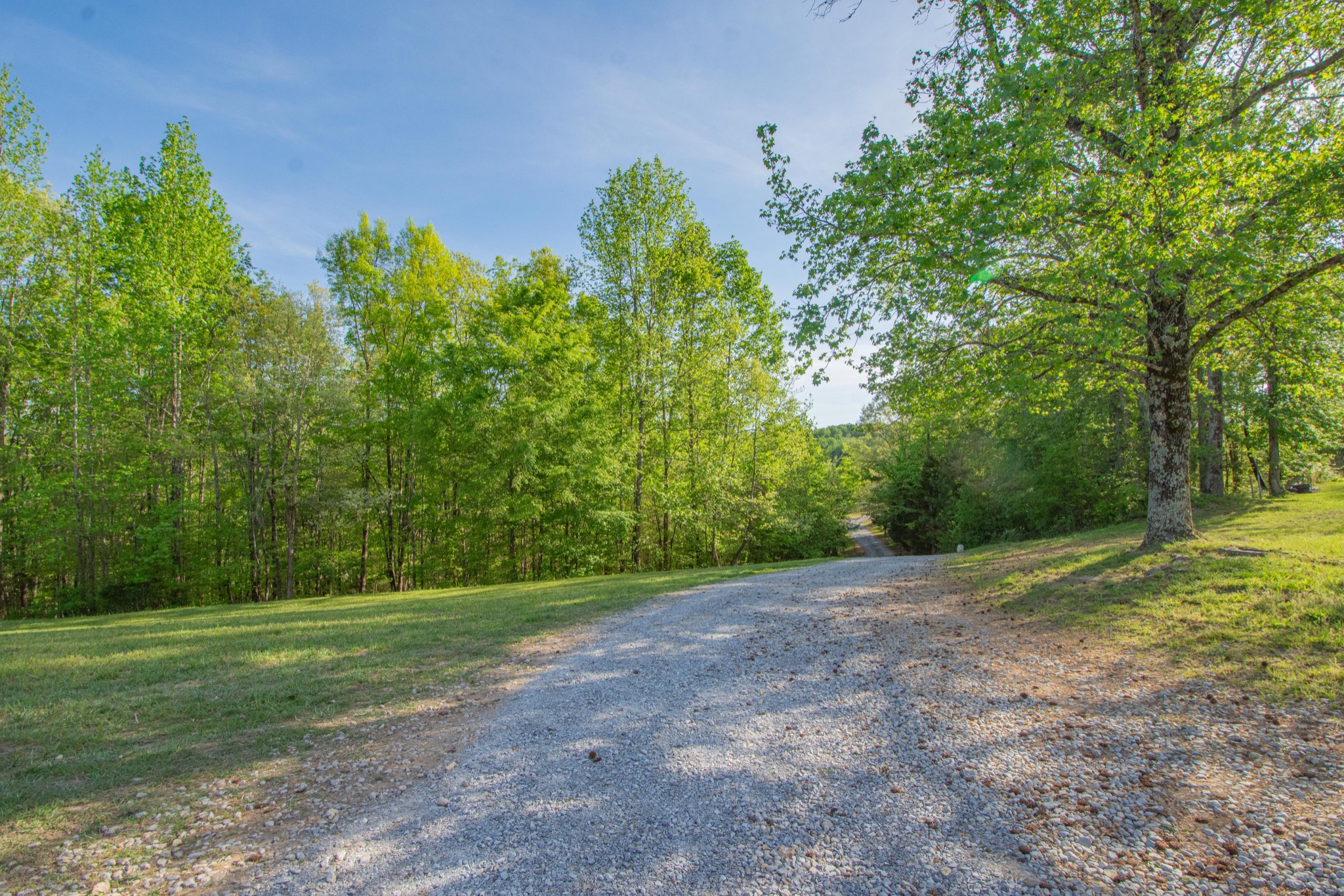 2490 Tackets Branch Road Prospect, TN 38477 - Photo 25 of 42 a view of a yard with a tree