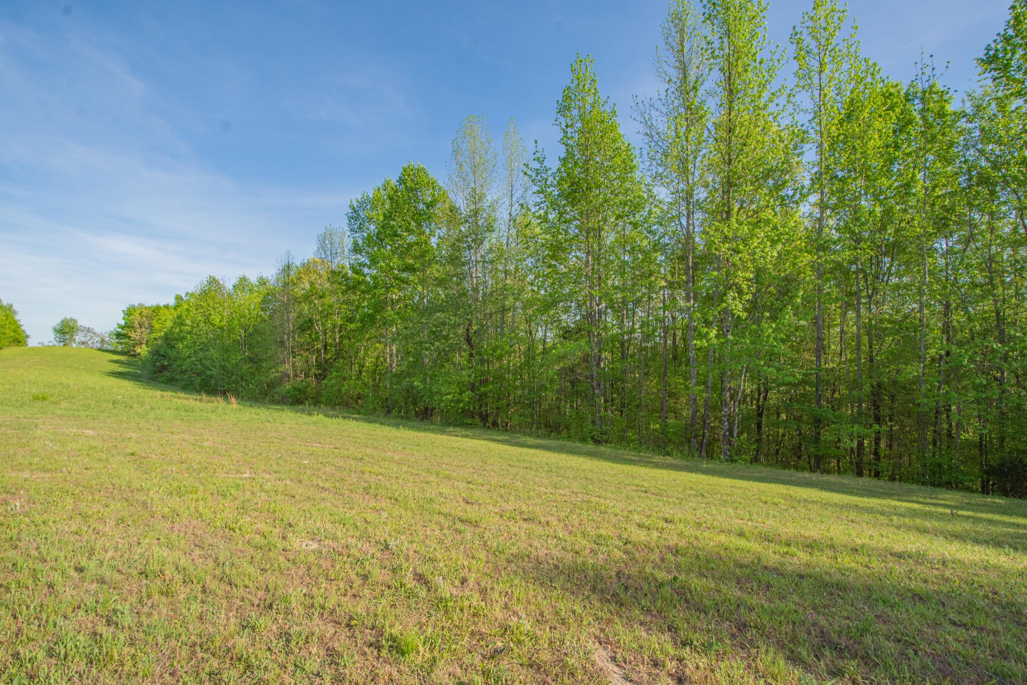 2490 Tackets Branch Road Prospect, TN 38477 - Photo 26 of 42