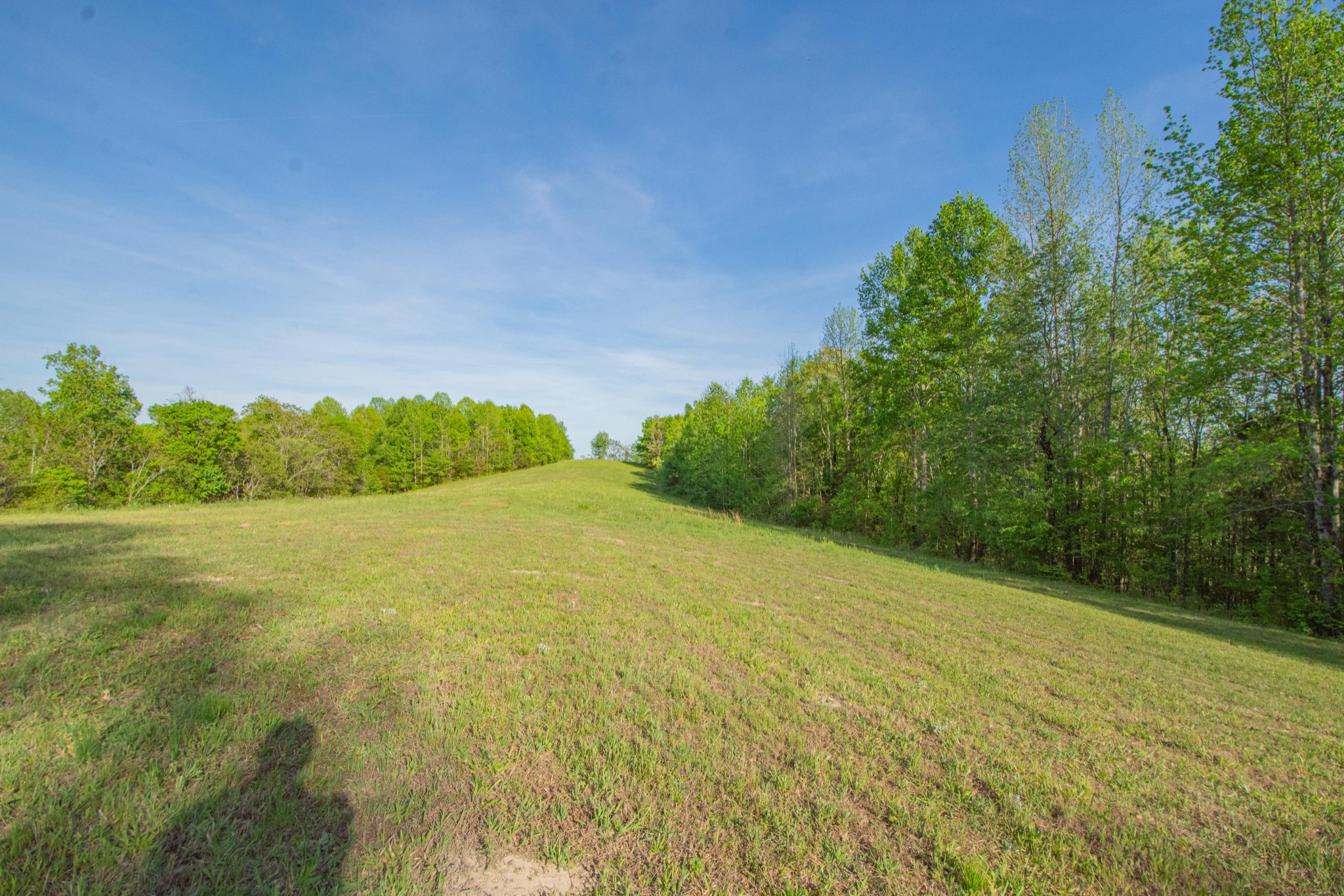 2490 Tackets Branch Road Prospect, TN 38477 - Photo 27 of 42 a view of a field with an ocean