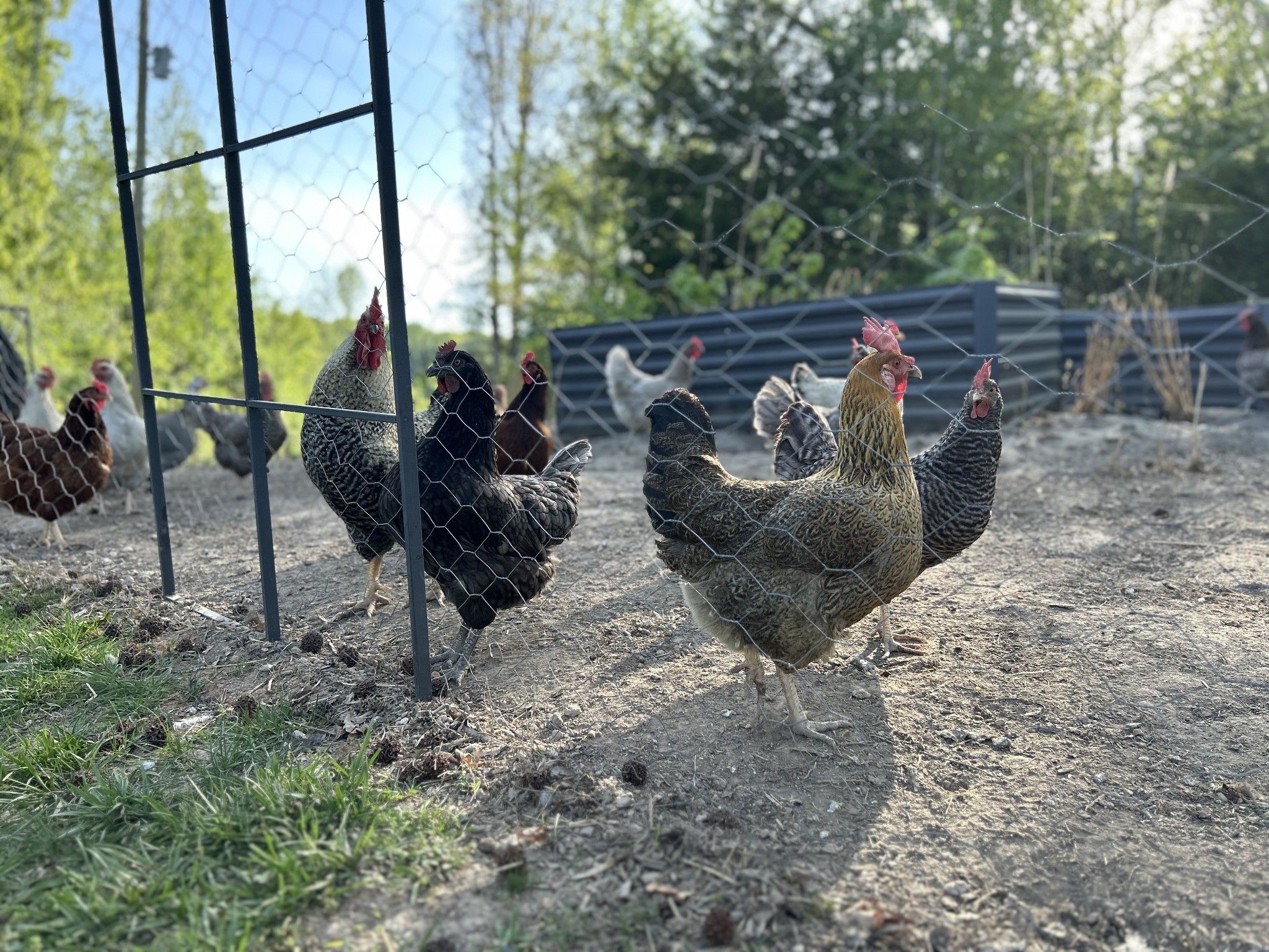 2490 Tackets Branch Road Prospect, TN 38477 - Photo 29 of 42 a view of outdoor space with seating area