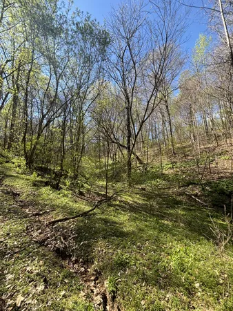 $385,000 | 2490 Tackets Branch Road, Prospect, TN 38477