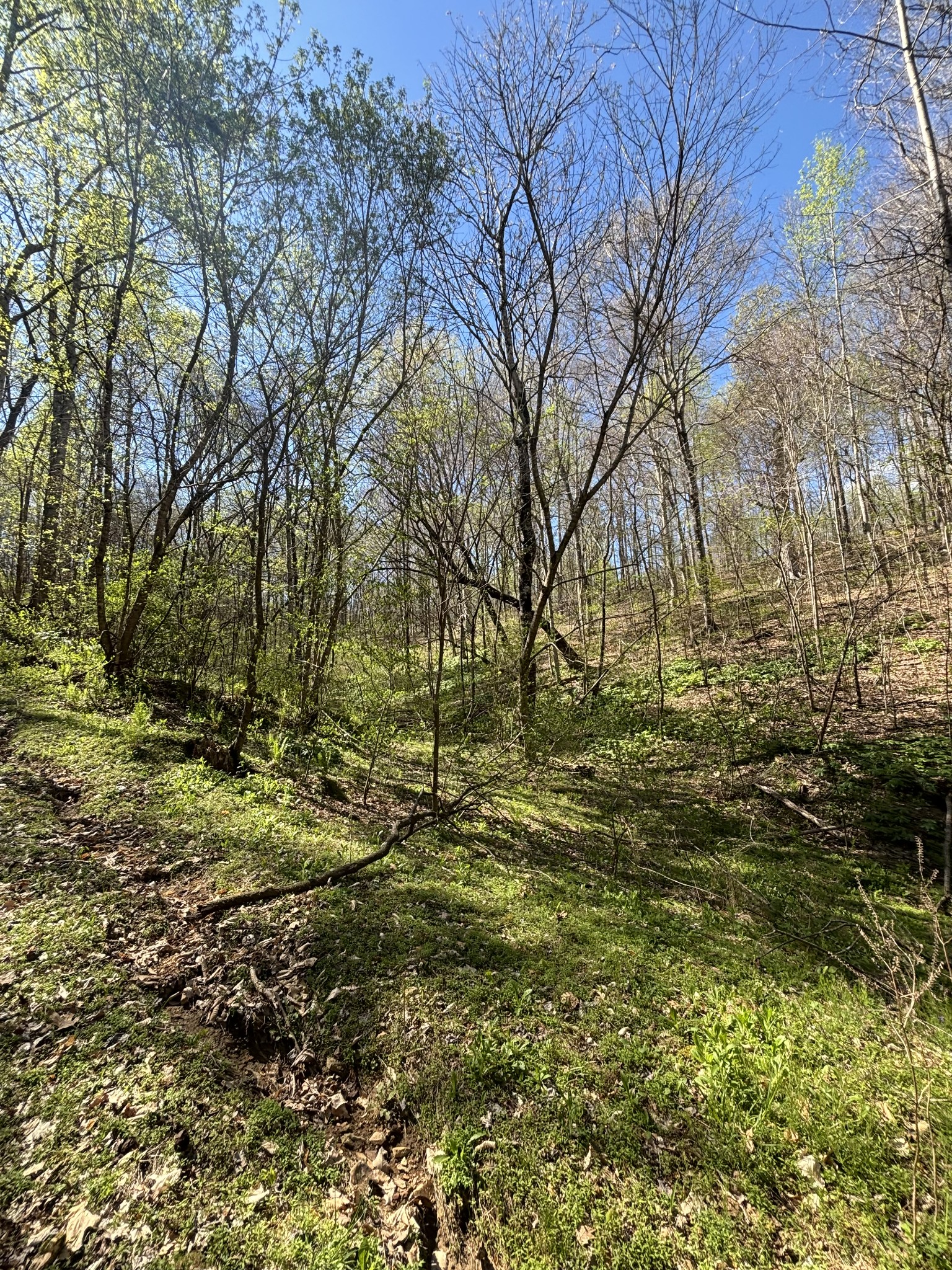 2490 Tackets Branch Road Prospect, TN 38477 - Photo 34 of 42