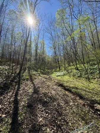 $385,000 | 2490 Tackets Branch Road, Prospect, TN 38477