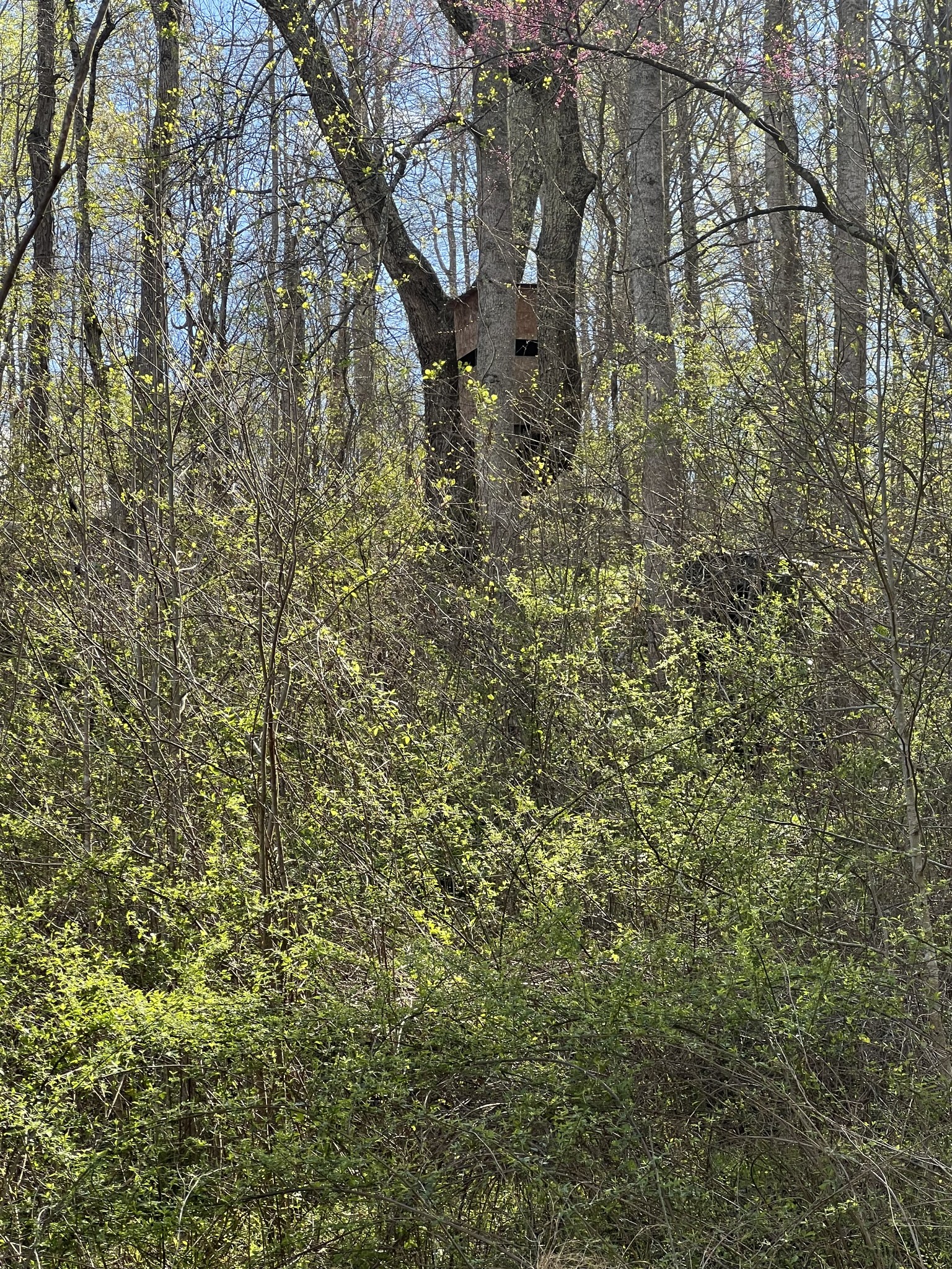 2490 Tackets Branch Road Prospect, TN 38477 - Photo 37 of 42