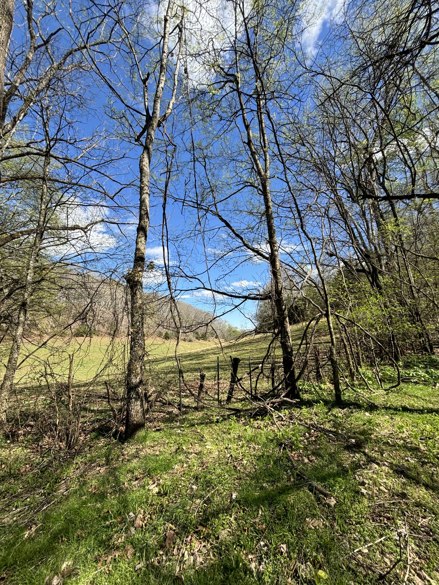 2490 Tackets Branch Road Prospect, TN 38477 - Photo 38 of 42 a view of outdoor space