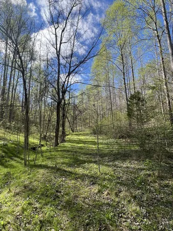 $385,000 | 2490 Tackets Branch Road, Prospect, TN 38477