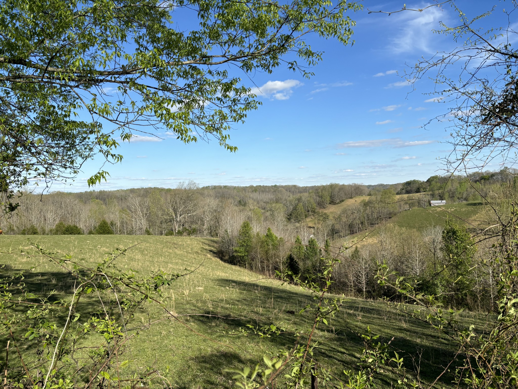 2490 Tackets Branch Road Prospect, TN 38477 - Photo 41 of 42