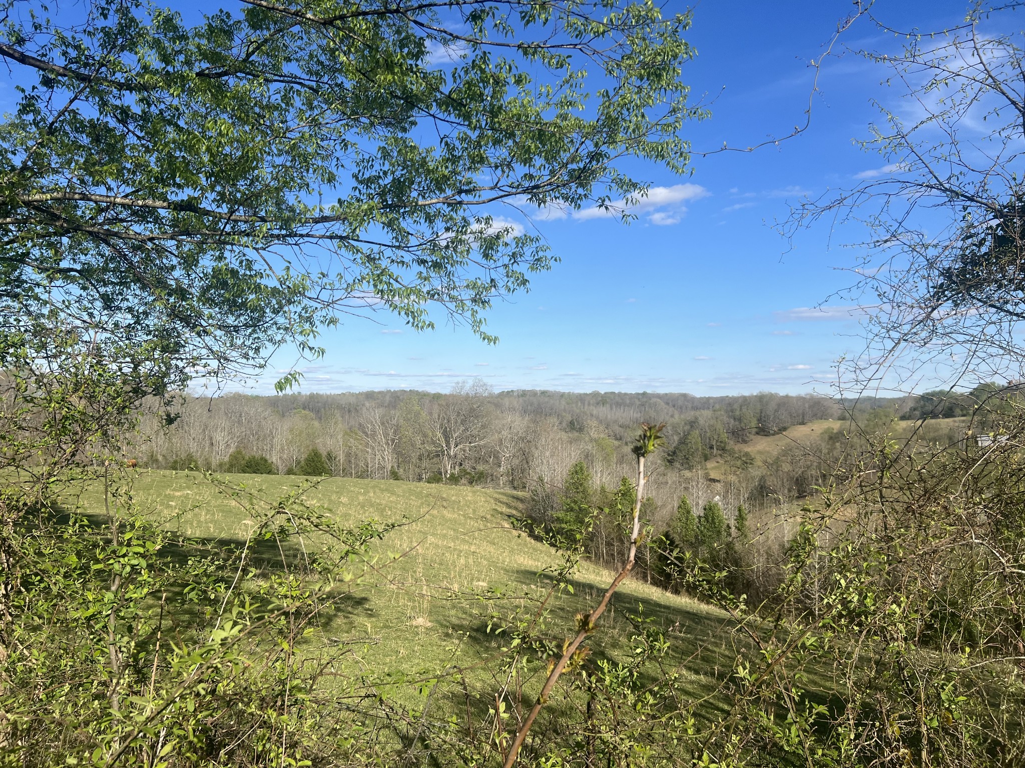 2490 Tackets Branch Road Prospect, TN 38477 - Photo 42 of 42