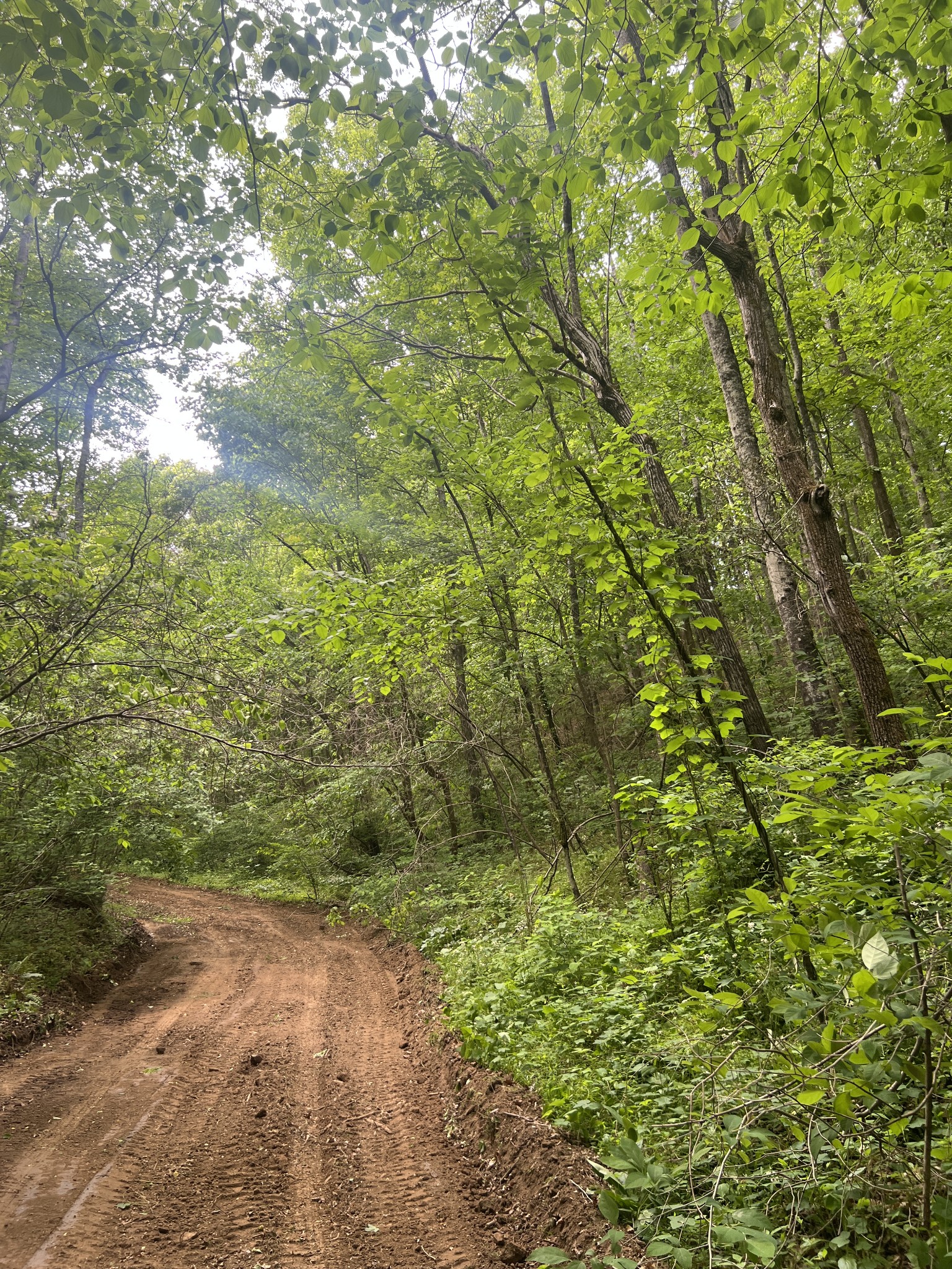 2490 Tackets Branch Road Prospect, TN 38477 - Photo 45 of 48