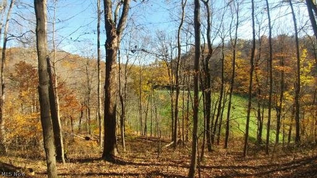 Tbd Tbd Mechling Hill Road Rayland, OH 43943 - Photo 2 of 5 Gallery Image 2