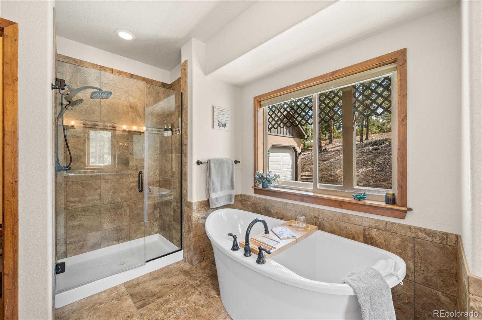 21 Hummingbird Court Bailey, CO 80421 - Photo 22 of 50