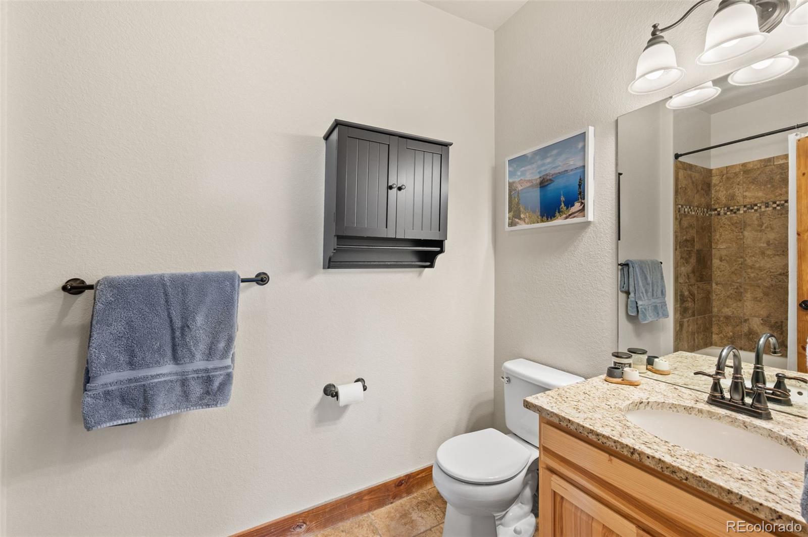 21 Hummingbird Court Bailey, CO 80421 - Photo 26 of 50