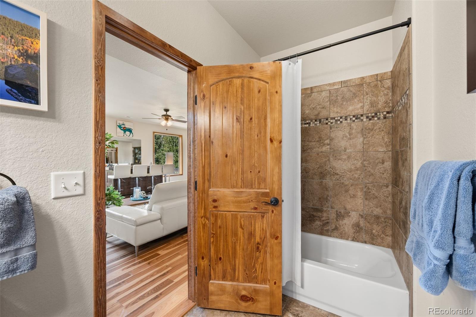 21 Hummingbird Court Bailey, CO 80421 - Photo 27 of 50