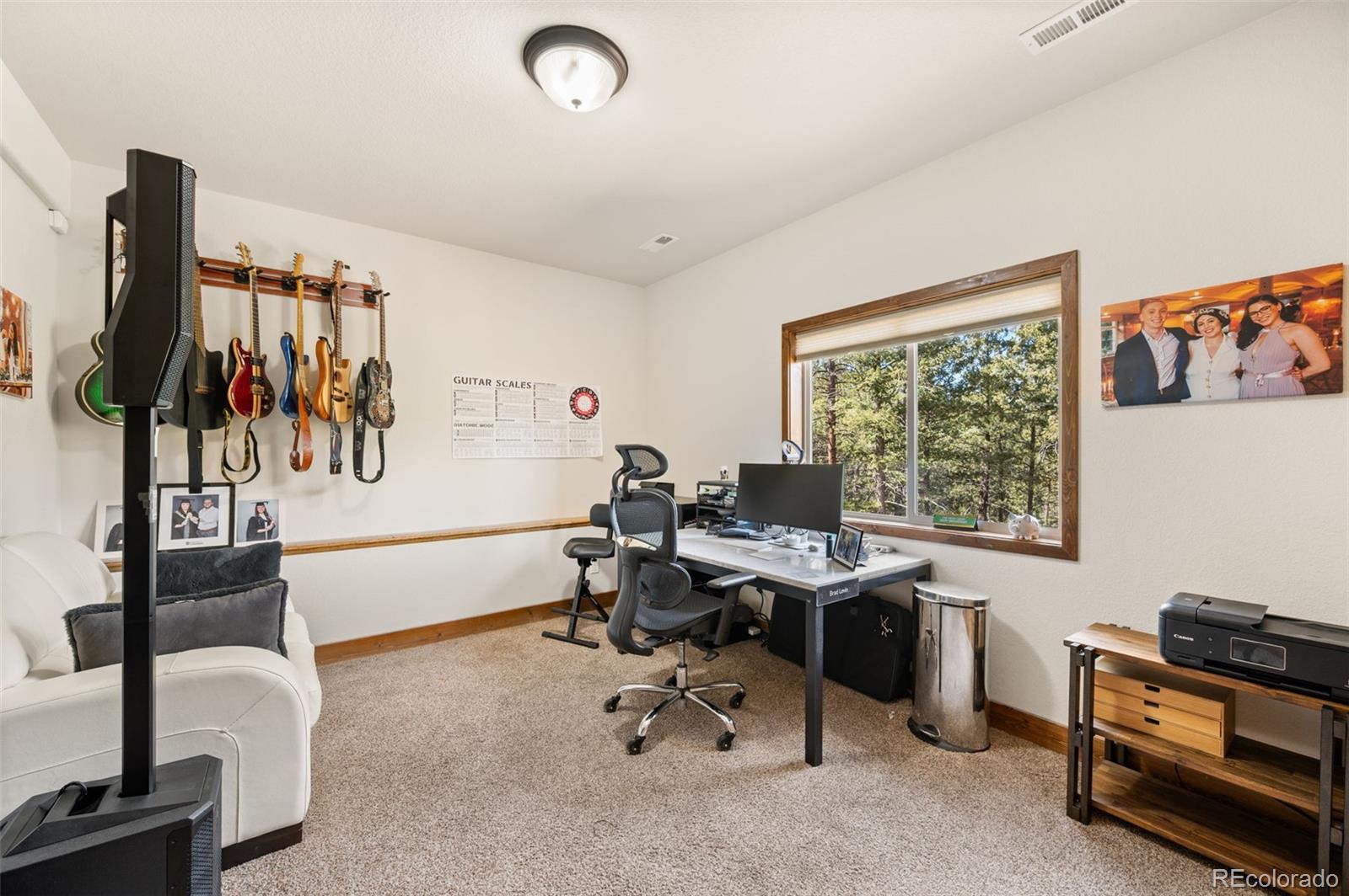 21 Hummingbird Court Bailey, CO 80421 - Photo 30 of 50