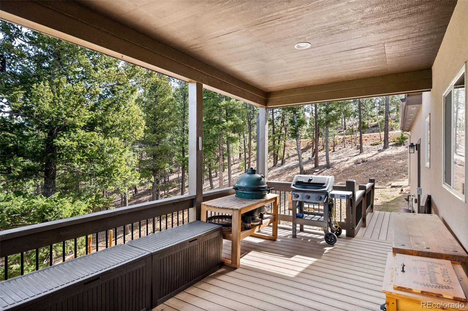 21 Hummingbird Court Bailey, CO 80421 - Photo 36 of 50