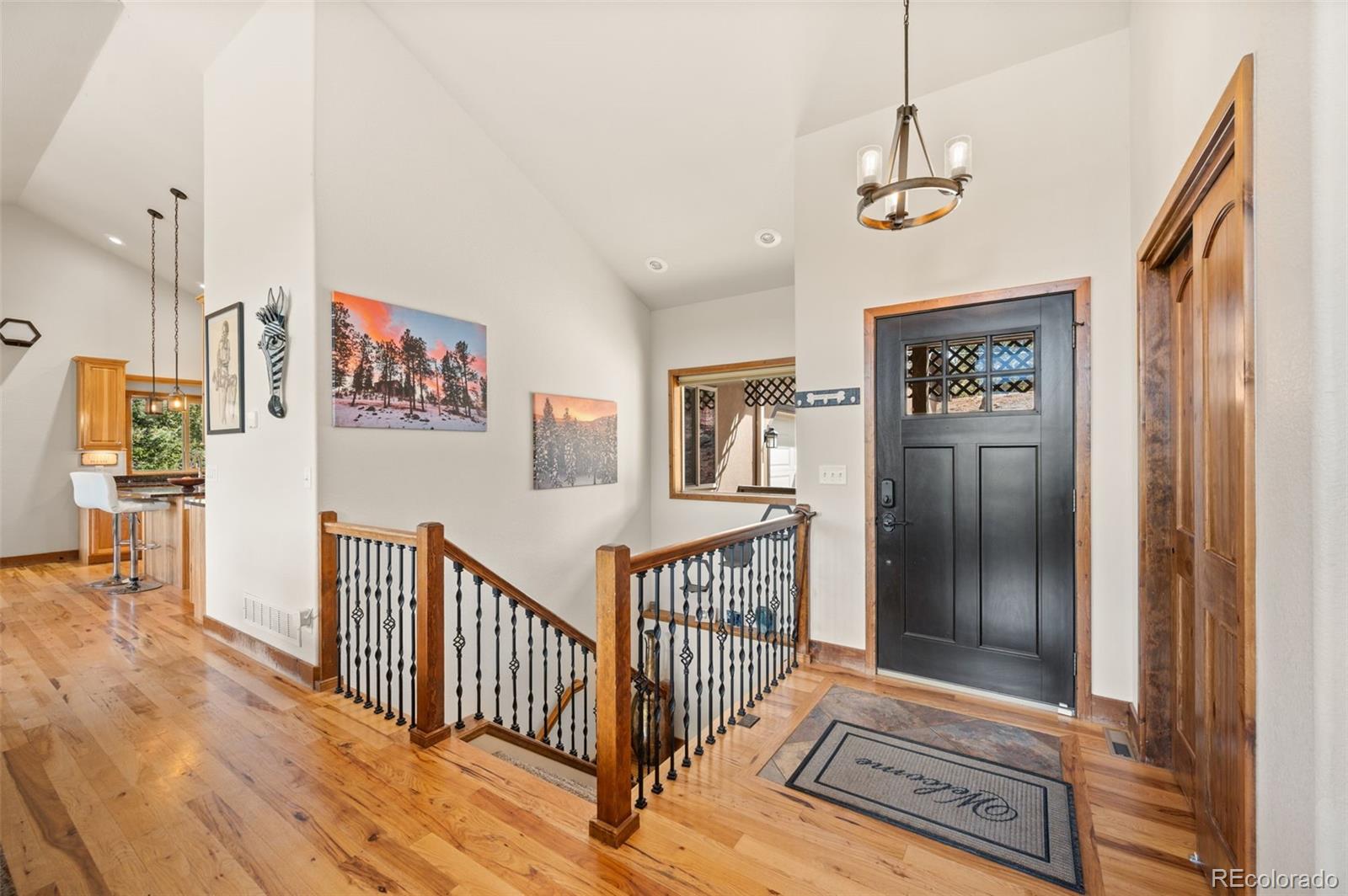 21 Hummingbird Court Bailey, CO 80421 - Photo 6 of 50