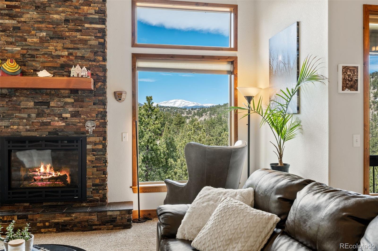 21 Hummingbird Court Bailey, CO 80421 - Photo 9 of 50