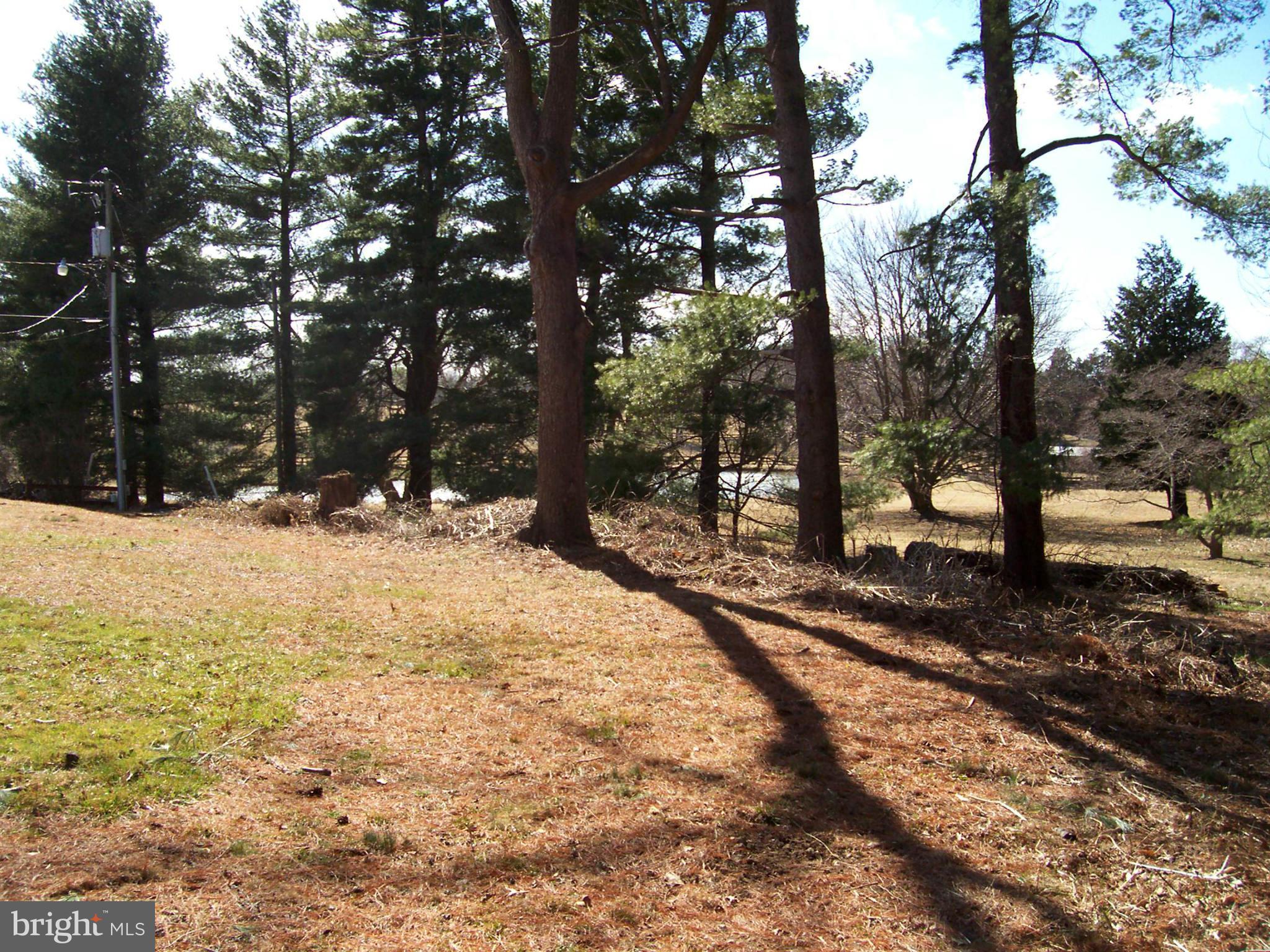 412 Lincoln Road Middleburg, VA 20117 - Photo 19 of 26 View to the southwest