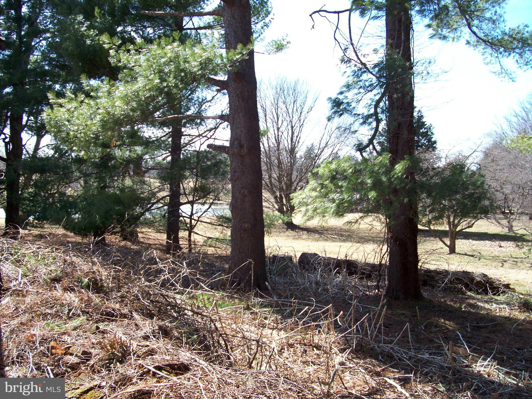 412 Lincoln Road Middleburg, VA 20117 - Photo 20 of 26 Neighbor has a pretty pond