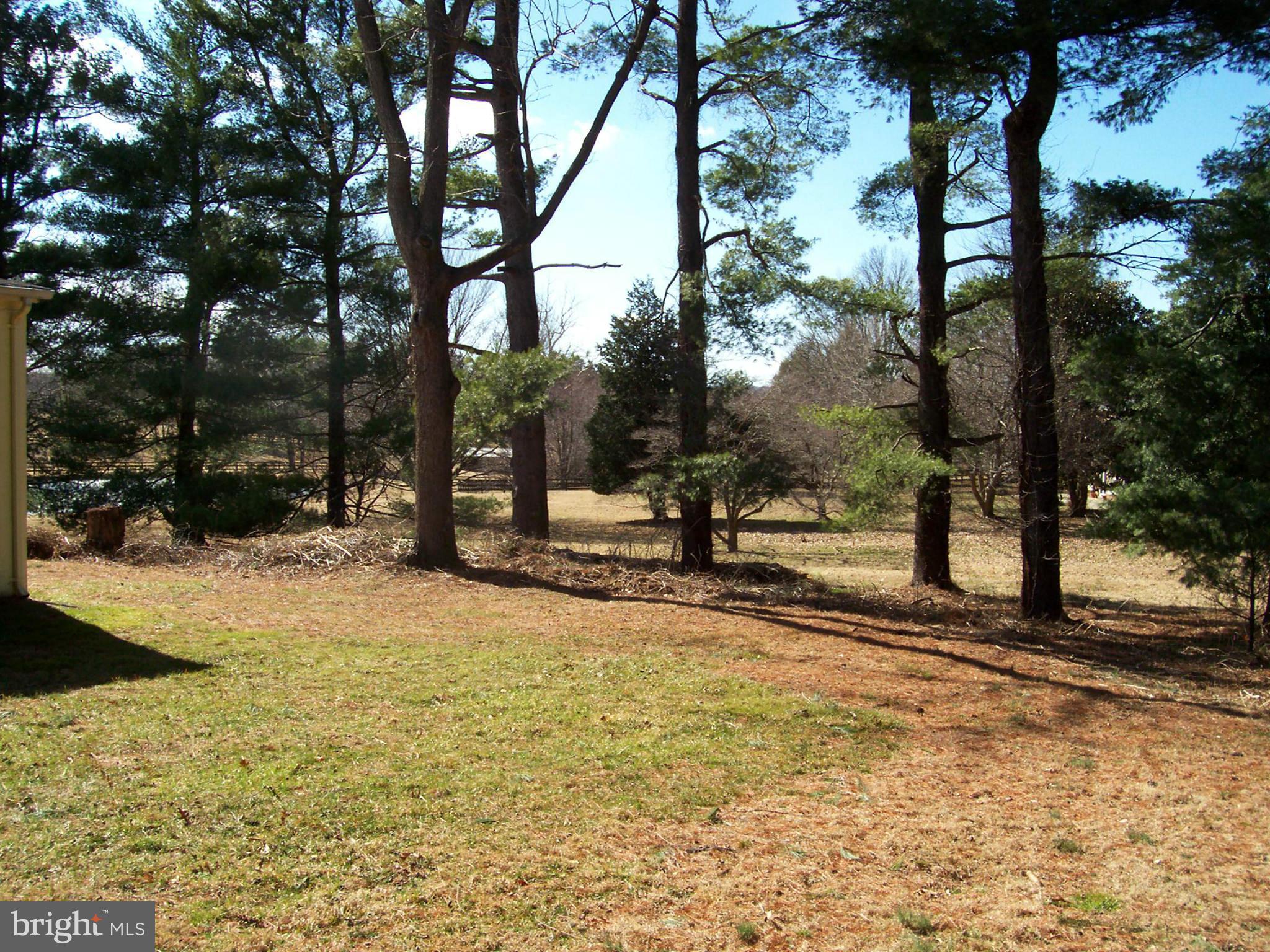 412 Lincoln Road Middleburg, VA 20117 - Photo 3 of 26 Back yard and side view