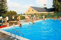 412 Lincoln Road Middleburg, VA 20117 - Photo 26 of 26 Community Pool