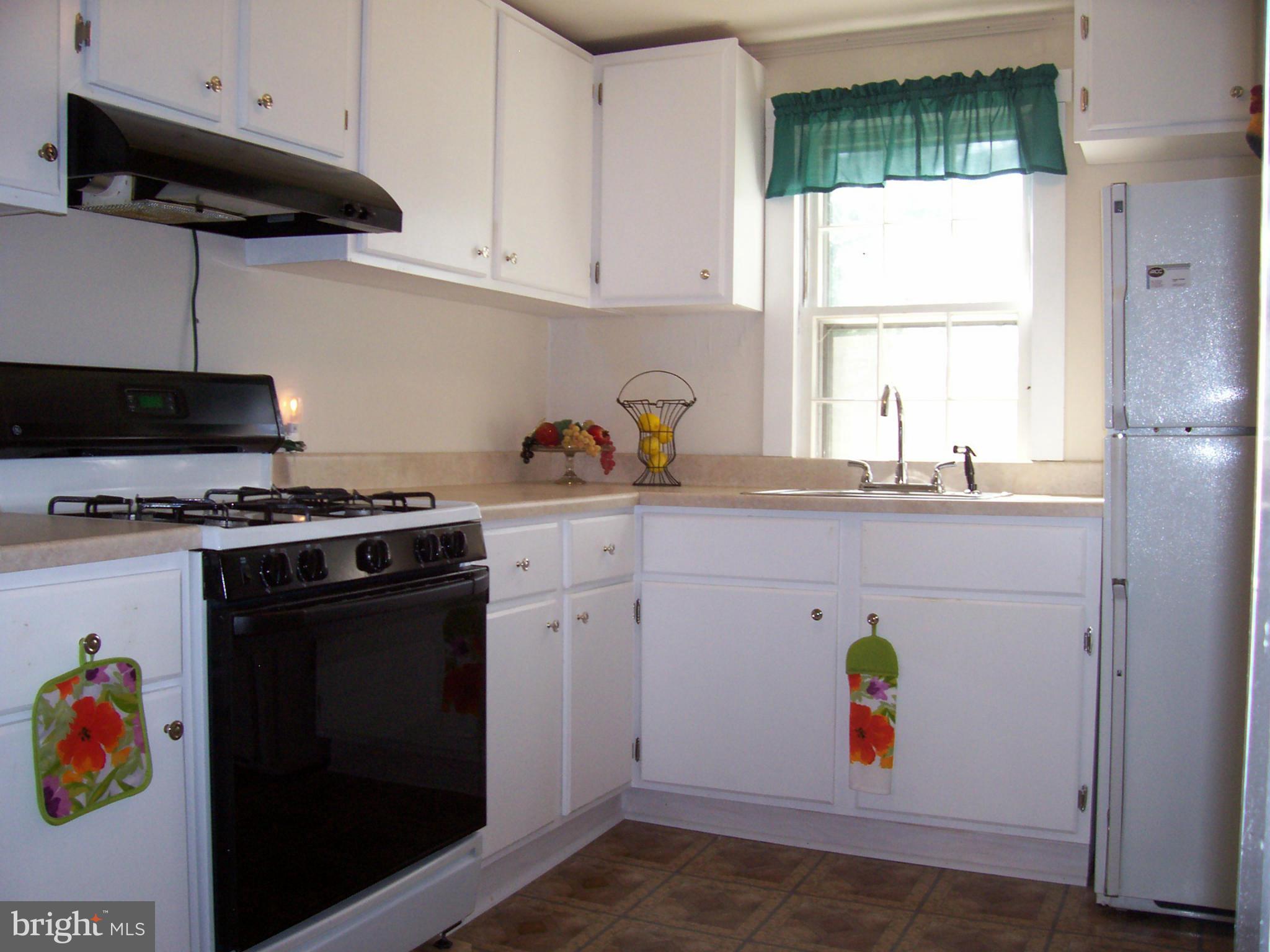 412 Lincoln Road Middleburg, VA 20117 - Photo 4 of 26 Sunny kitchen