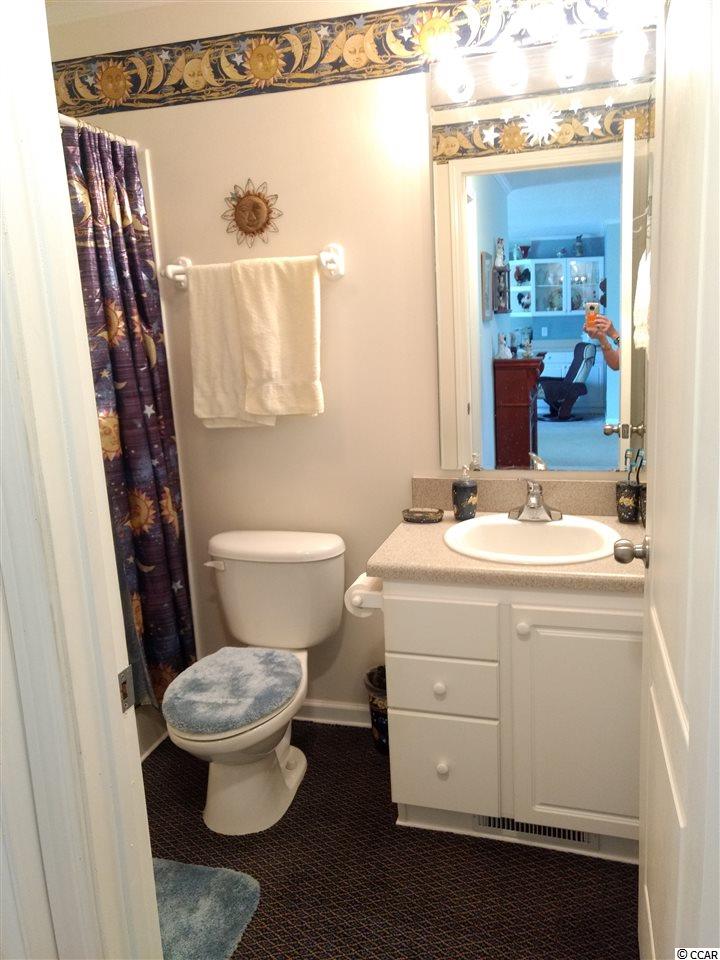 284 Stone Throw Drive Murrells Inlet, SC 29576 - Photo 20 of 28