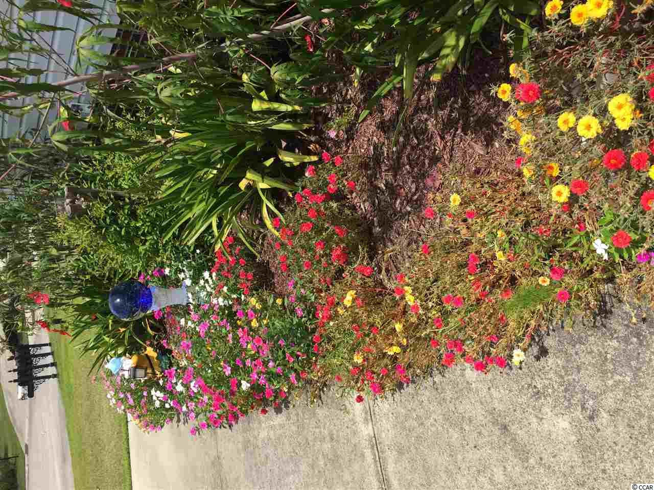284 Stone Throw Drive Murrells Inlet, SC 29576 - Photo 28 of 28