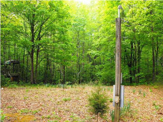 267 Sweeney Road Benton, TN 37307 - Photo 3 of 8 Additional Photo
