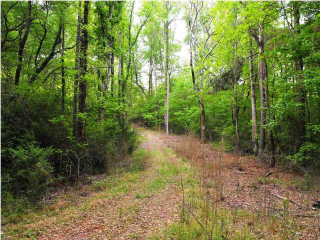 267 Sweeney Road Benton, TN 37307 - Photo 4 of 8 Additional Photo