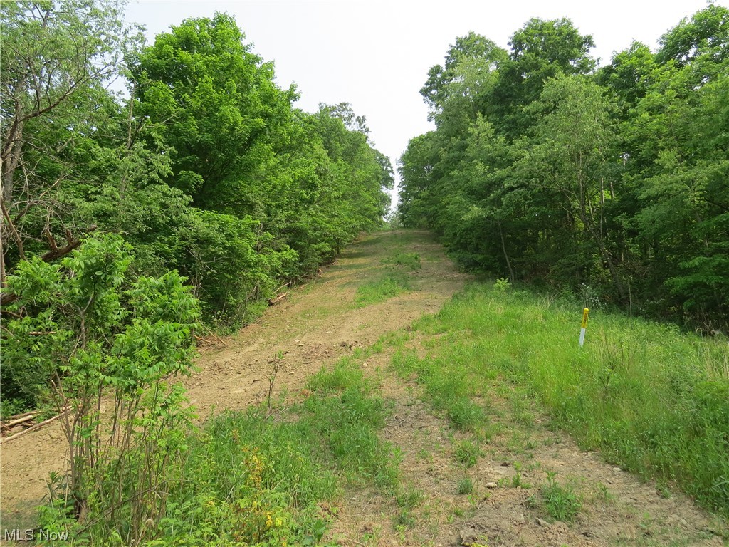 1054 Bergholz Road Southeast Bergholz, OH 43908 - Photo 11 of 11 View of nature