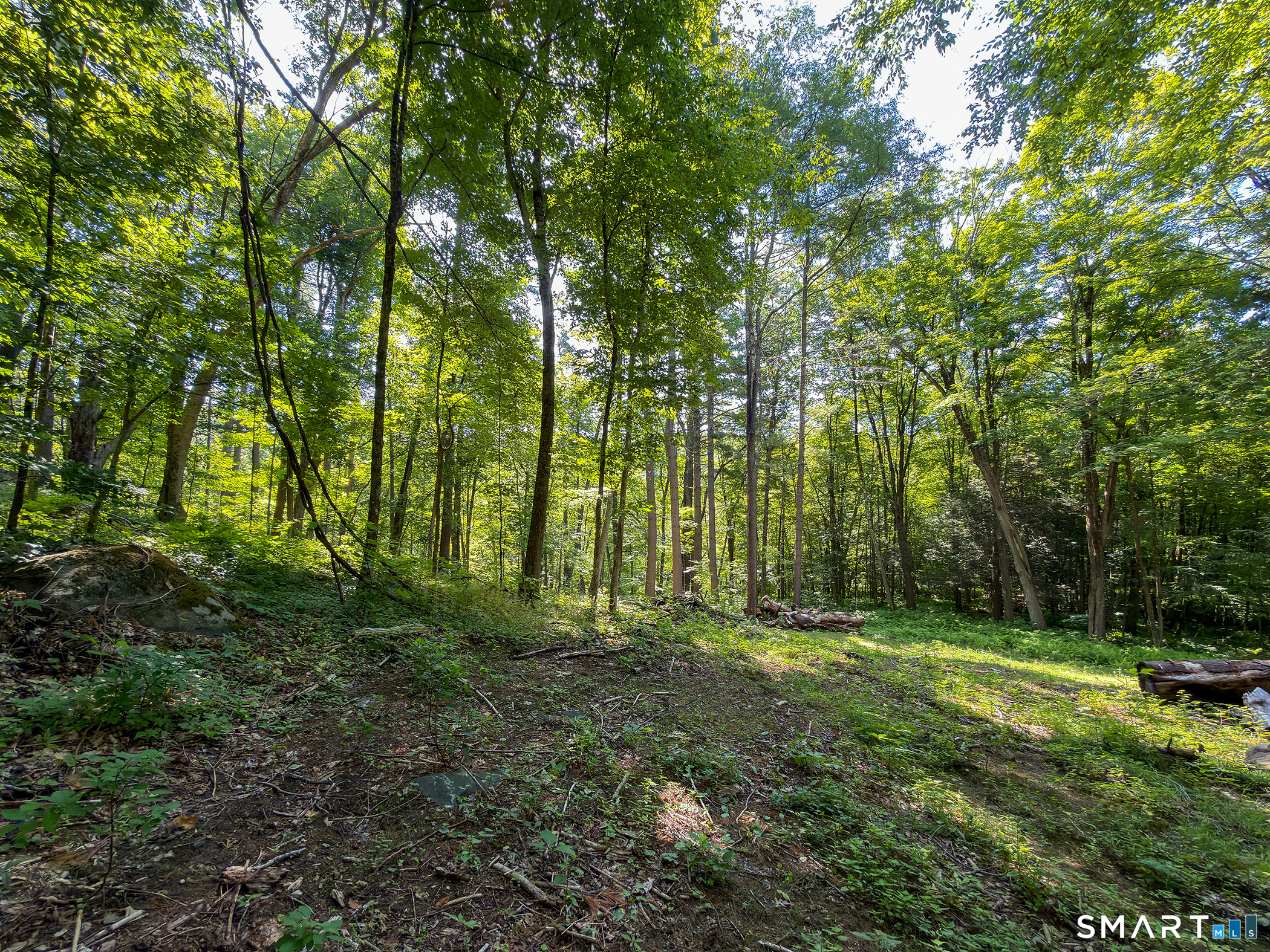0 Great Hollow Road West Cornwall, CT 06796 - Photo 17 of 20 Gallery Image 17