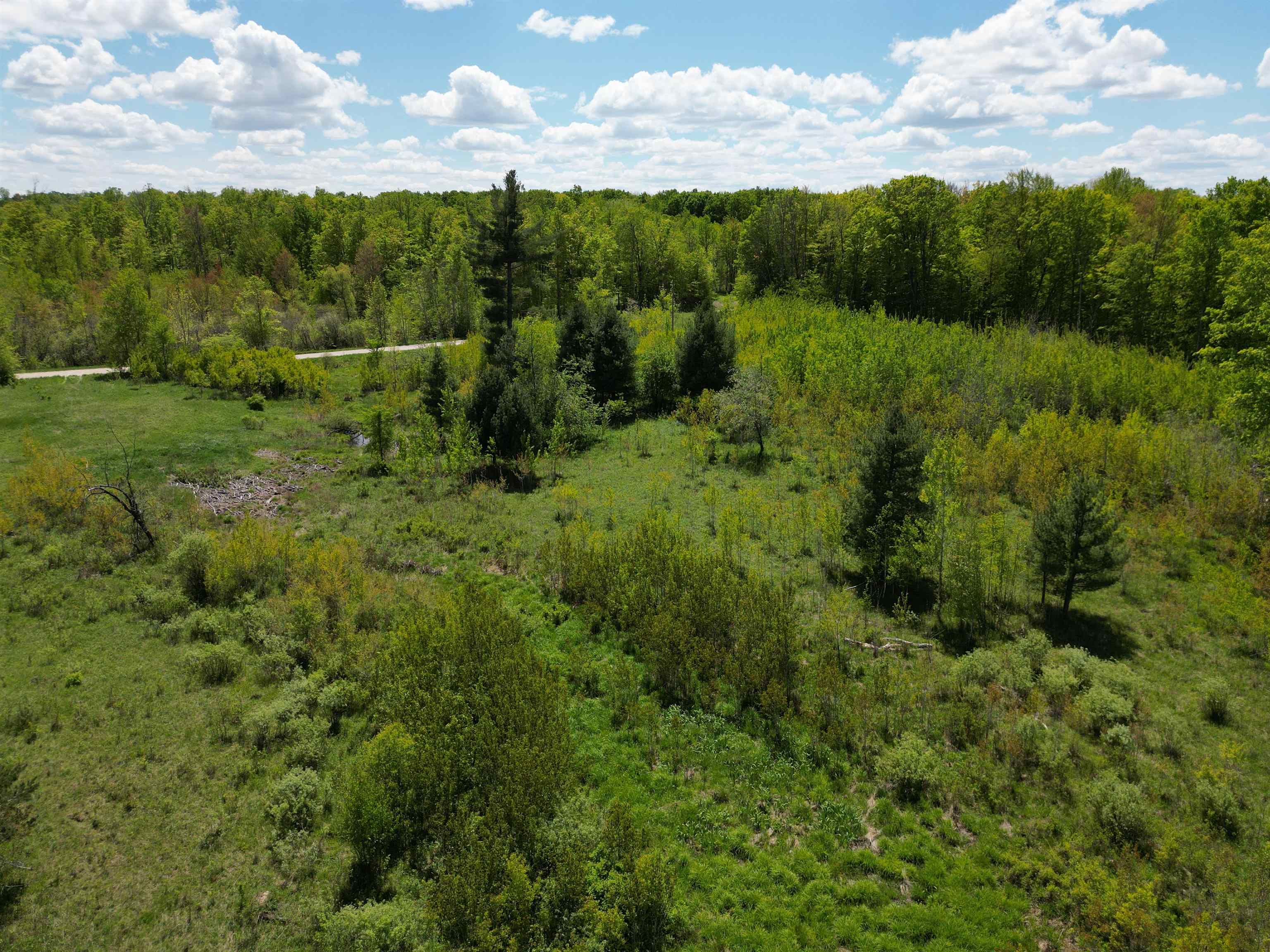 19 Mile Road Kingsley, MI 49649 - Photo 6 of 30