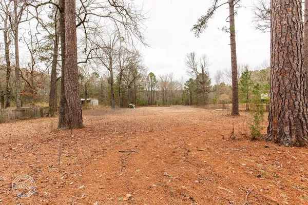 a view of outdoor space with trees