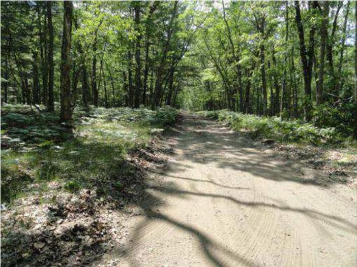 9305 9 Mile Bridge Road Manistee, MI 49660 - Photo 2 of 3 image (1)