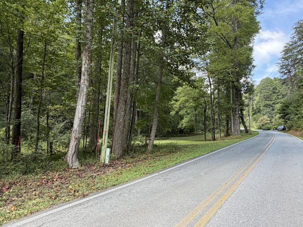 6.13-ac Lucius Road Blue Ridge, GA 30513 - Photo 13 of 21 Gallery Image 13