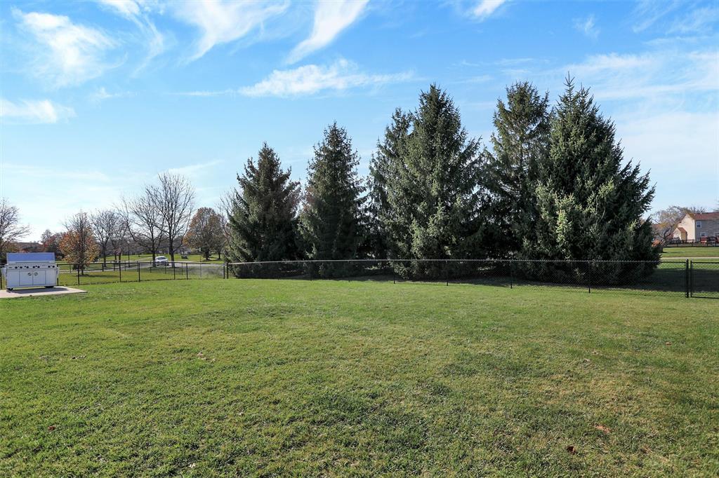 1304 Blue Ridge Lane Brownsburg, IN 46112 - Photo 30 of 31 Gallery Image 30