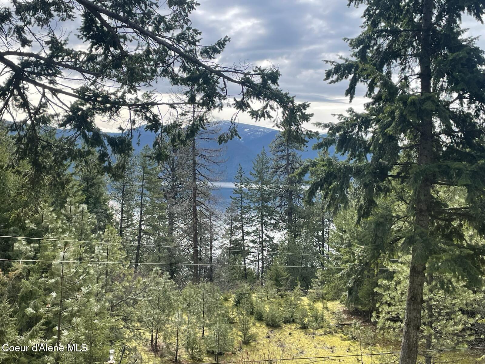 39 Pearl Creek Road Sagle, ID 83860 - Photo 52 of 62 .