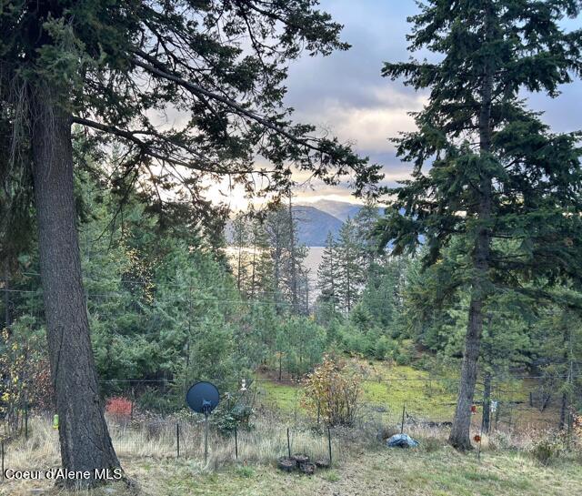 39 Pearl Creek Road Sagle, ID 83860 - Photo 6 of 62 .