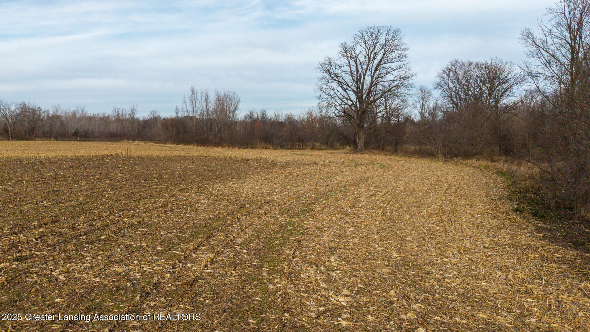 Vl Windsor Highway Dimondale, MI 48821 - Photo 24 of 31 Windsor_Hwy_37_ACRE_BROCK-24