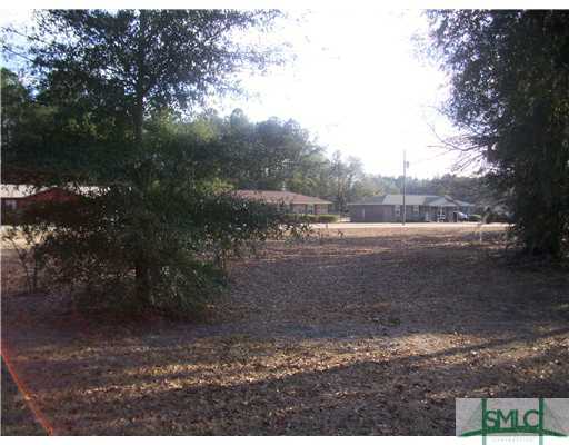 313 Middleground Road Rincon, GA 31326 - Photo 3 of 3 Yard/Garden.
