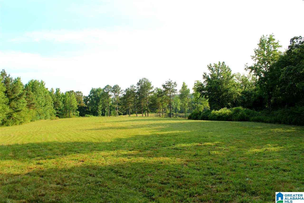 0 County Road 852 Bremen, AL 35033 - Photo 5 of 11