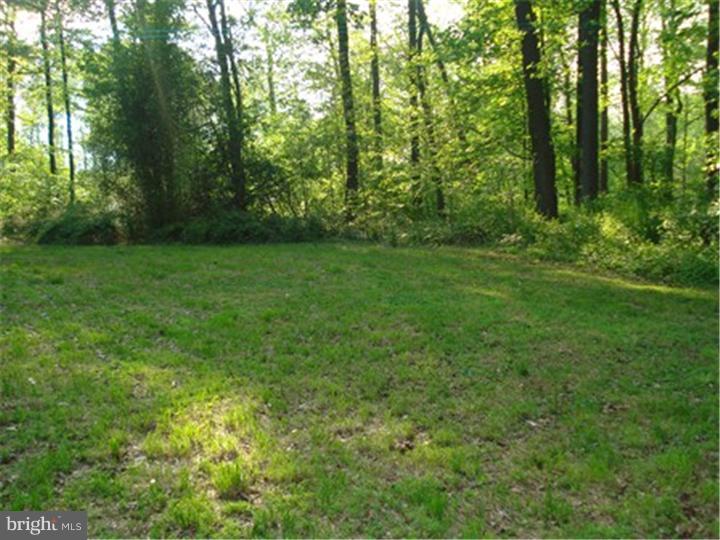 3519 Cemetery Road Parkesburg, PA 19365 - Photo 4 of 23 Back Yard